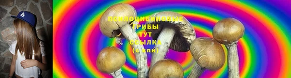 твердый Каменногорск