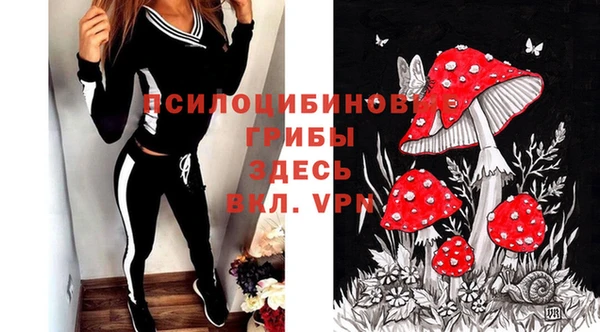 твердый Каменногорск
