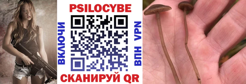 Псилоцибиновые грибы MAGIC MUSHROOMS Купить где Дербент